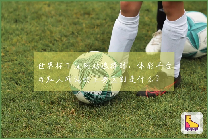 世界杯下注网站选择时，体彩平台与私人网站的主要区别是什么？