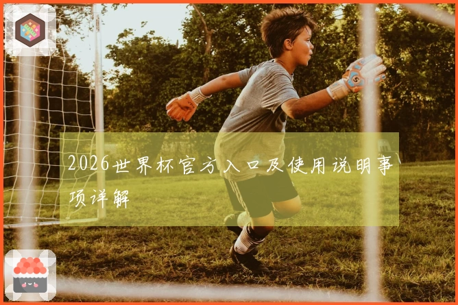 2026世界杯官方入口及使用说明事项详解