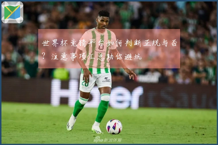 世界杯竞猜平台如何判断正规与否？注意事项汇总助你避坑