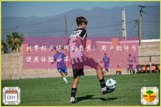 世界杯买球网站首页：用户测评与使用体验分享