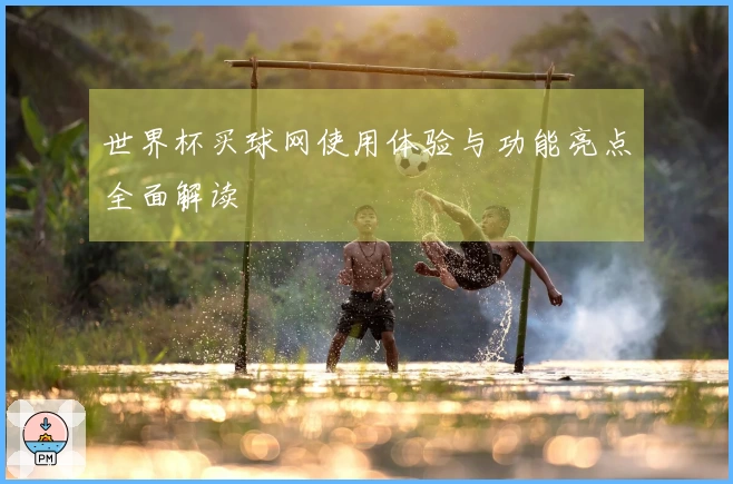 世界杯买球网使用体验与功能亮点全面解读