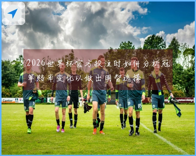 2026世界杯官方投注时如何分析冠军赔率变化以做出明智选择