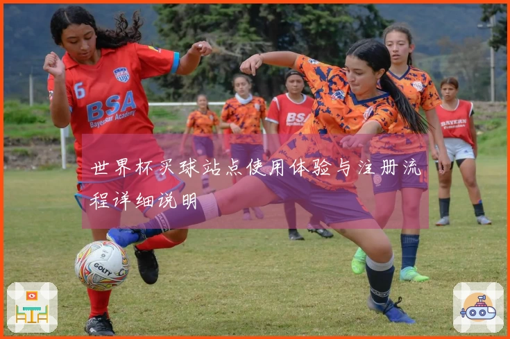 世界杯买球站点使用体验与注册流程详细说明