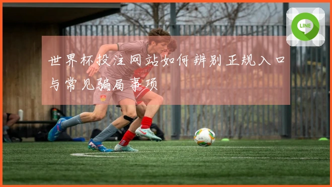 世界杯投注网站如何辨别正规入口与常见骗局事项