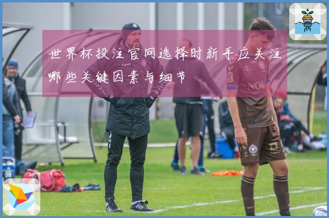 世界杯投注官网选择时新手应关注哪些关键因素与细节