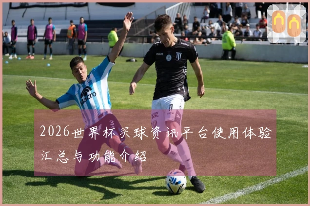 2026世界杯买球资讯平台使用体验汇总与功能介绍