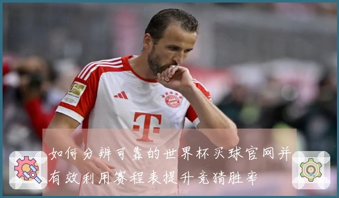 如何分辨可靠的世界杯买球官网并有效利用赛程表提升竞猜胜率