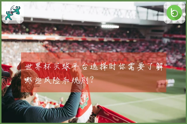 世界杯买球平台选择时你需要了解哪些风险和规则？