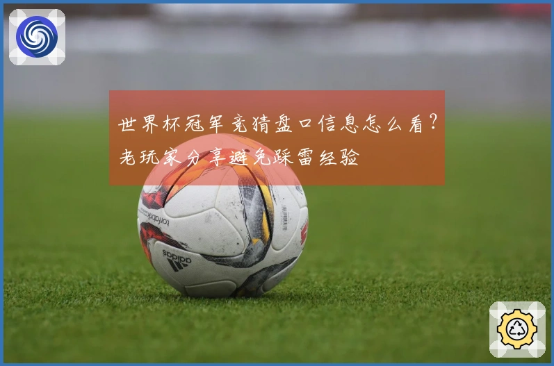 世界杯冠军竞猜盘口信息怎么看？老玩家分享避免踩雷经验
