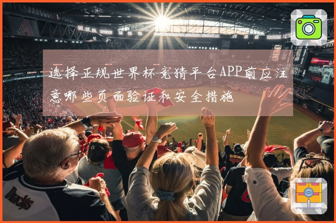 选择正规世界杯竞猜平台APP前应注意哪些页面验证和安全措施