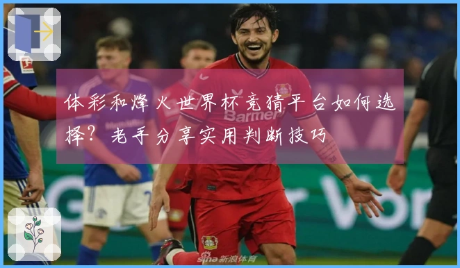 体彩和烽火世界杯竞猜平台如何选择？老手分享实用判断技巧