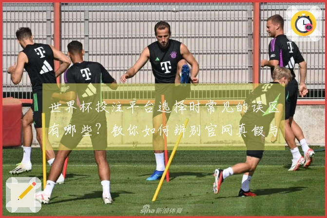 世界杯投注平台选择时常见的误区有哪些？教你如何辨别官网真假与赔率差异