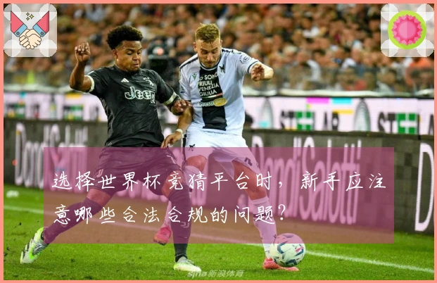 选择世界杯竞猜平台时，新手应注意哪些合法合规的问题？