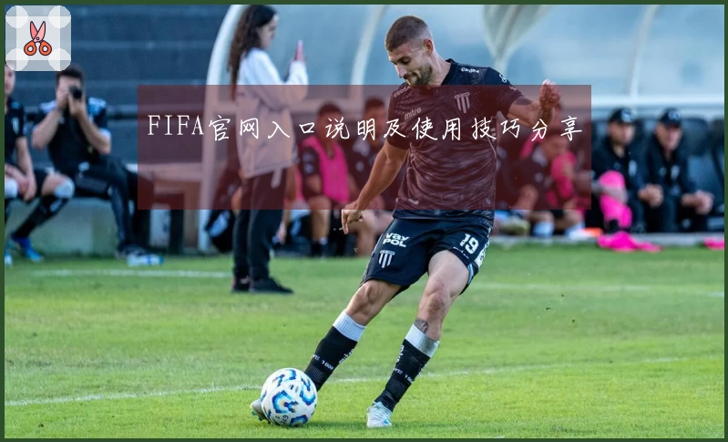 FIFA官网入口说明及使用技巧分享