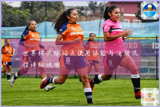 世界杯买球站点使用体验与注册流程详细说明
