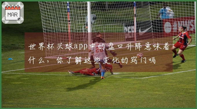 世界杯买球app中的盘口升降意味着什么，你了解这些变化的窍门吗