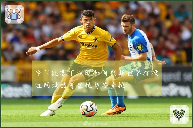 冷门比赛下注时如何判断世界杯投注网站的可靠性与安全性