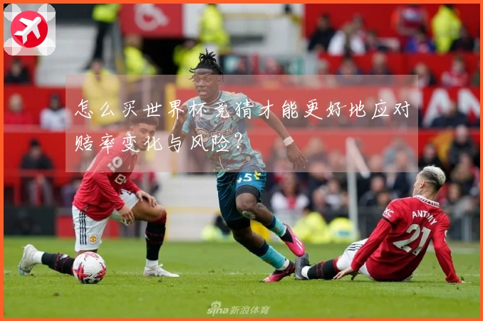 怎么买世界杯竞猜才能更好地应对赔率变化与风险？