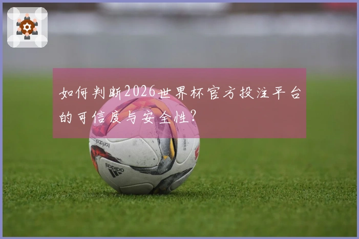 如何判断2026世界杯官方投注平台的可信度与安全性？