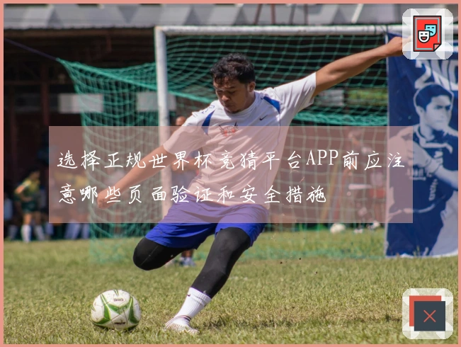 选择正规世界杯竞猜平台APP前应注意哪些页面验证和安全措施