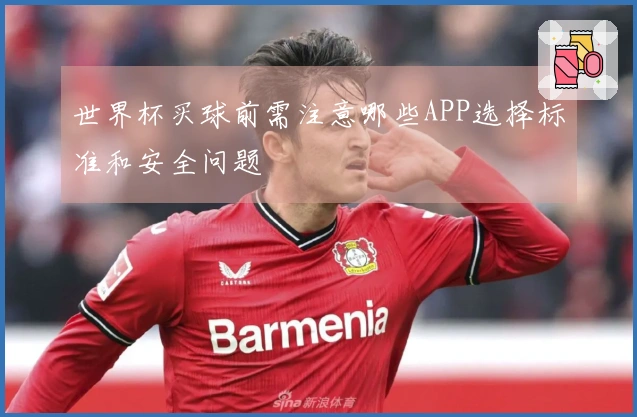 世界杯买球前需注意哪些APP选择标准和安全问题
