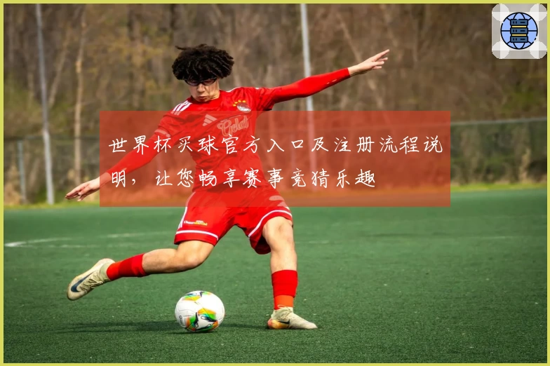 世界杯买球官方入口及注册流程说明，让您畅享赛事竞猜乐趣
