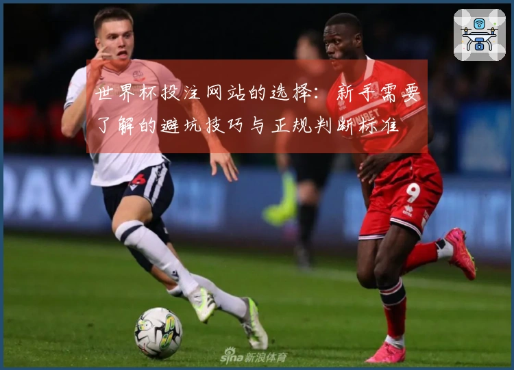 世界杯投注网站的选择：新手需要了解的避坑技巧与正规判断标准