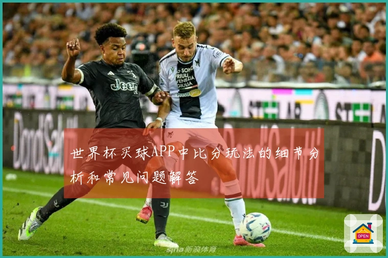 世界杯买球APP中比分玩法的细节分析和常见问题解答