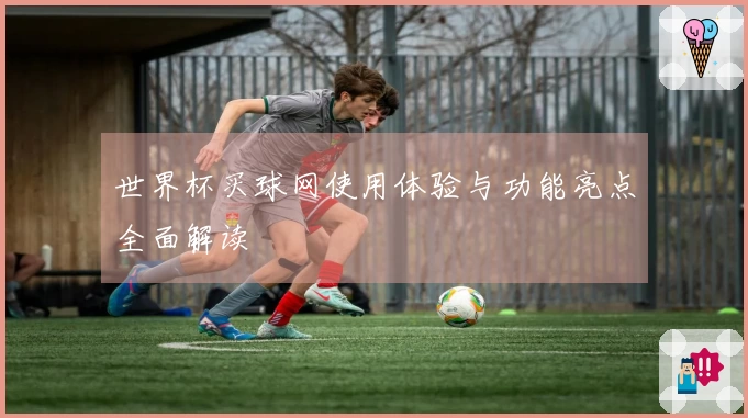 世界杯买球网使用体验与功能亮点全面解读