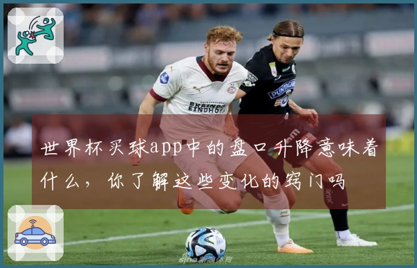 世界杯买球app中的盘口升降意味着什么，你了解这些变化的窍门吗